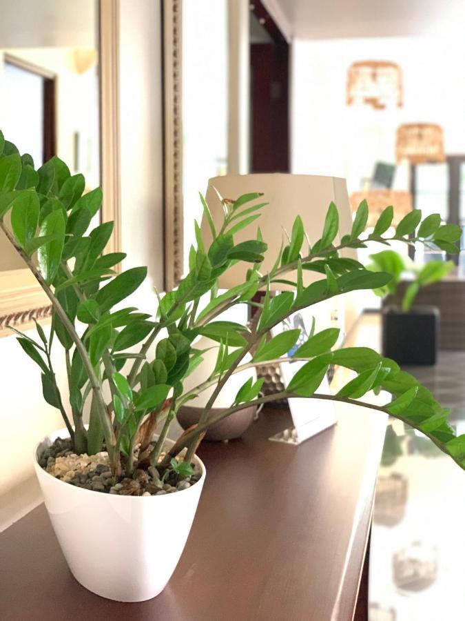 Hotel Mango Airport Rio Segundo Екстер'єр фото